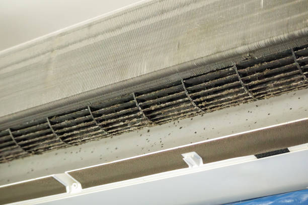 Best Local Air Duct Cleaning Services  in Clarion, PA